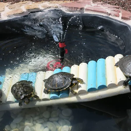 Florida Apartament Caleta De Fuste